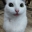 User Kate Kate’s avatar
