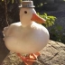 User ’s avatar